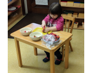 Aviary Photo 131557579856965451