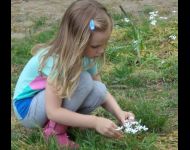Maeve-picking-flowers